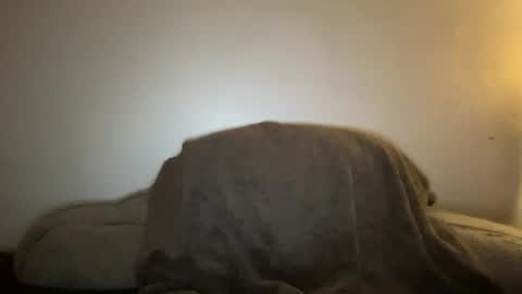 Snapshot of seroc12345 chatting on 01/19/25, 02:47 Seroc online show from 01/19/25, 02:47