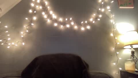 Snapshot of seroc12345 chatting on 03/09/25, 11:46 Seroc online show from 03/09/25, 11:46