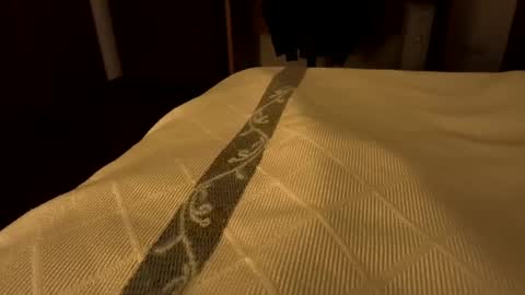 sevenorder online show from 01/24/25, 07:51