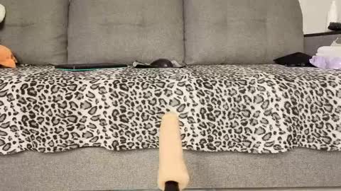 Xenia online show from 03/16/26, 06:56