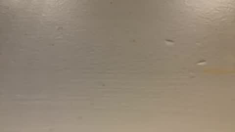 Snapshot of sexislitpuss69 chatting on 01/01/25, 11:40 sexislitpuss69 online show from 01/01/25, 11:40