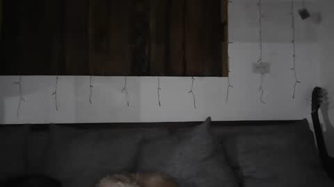 Trixy Rose online show from 01/11/25, 05:41