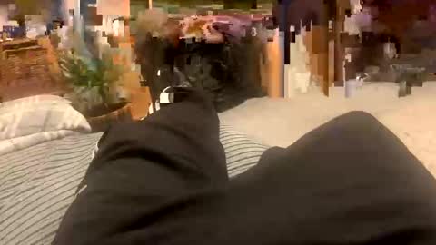 sexpest32 online show from 01/18/26, 09:07