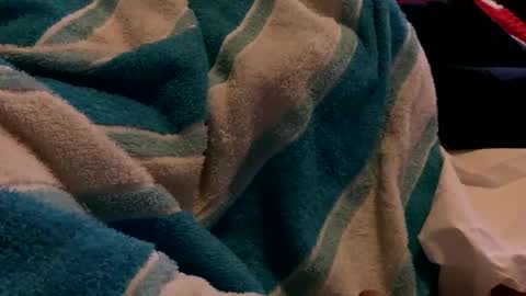 Sexplorer54321 online show from 02/03/25, 01:30