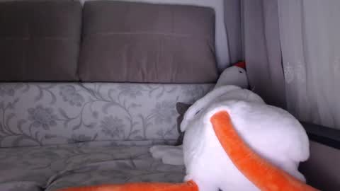 Snapshot of sexsy_bunny chatting on 10/01/25, 05:13 See you on October  going to miss you guys incredibly. Subscribe to my  Onlyfans  Channel to follow the news online show from 10/01/25, 05:13