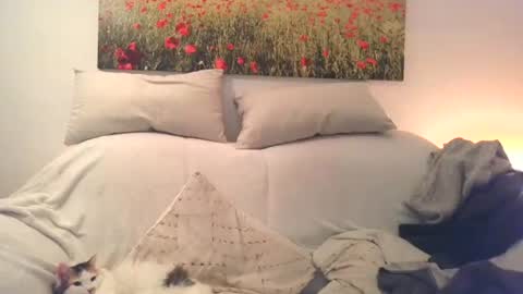 Snapshot of sexurbation chatting on 12/10/24, 03:01 Sexurbation online show from 12/10/24, 03:01