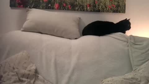 Snapshot of sexurbation chatting on 01/01/25, 10:46 Sexurbation online show from 01/01/25, 10:46