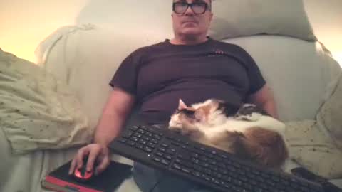 Sexurbation online show from 11/17/25, 08:14