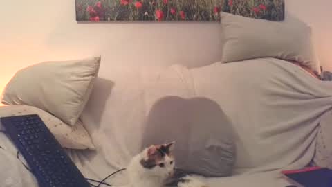 Sexurbation online show from 12/20/25, 08:16