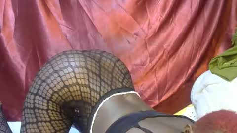Snapshot of sexxy_triza chatting on 09/21/25, 06:15 triza online show from 09/21/25, 06:15