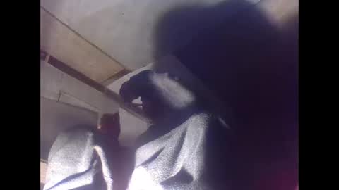 Snapshot of sexy15802 chatting on 01/04/25, 07:03 sexy15802 online show from 01/04/25, 07:03