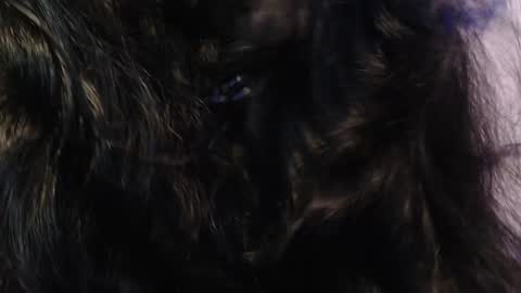 Snapshot of sexy_impact chatting on 01/15/25, 03:33 online show from 01/15/25, 03:33