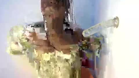 lily online show from 10/05/25, 09:34