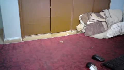 sexy_lunah online show from 12/19/24, 02:57