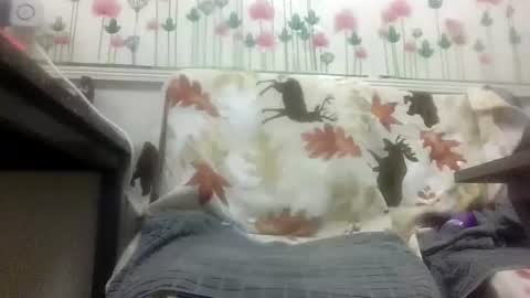 Daddy online show from 02/04/26, 12:00