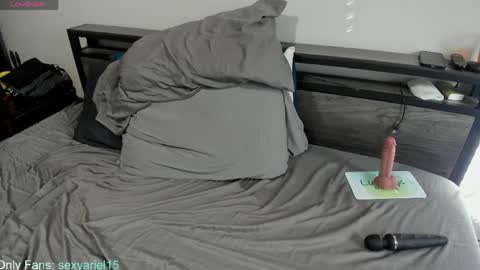 Snapshot of sexyariel15 chatting on 04/04/26, 04:04 SexyAriel15 online show from 04/04/26, 04:04