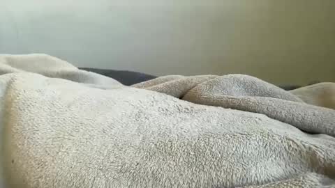 ALAYA  online show from 11/29/25, 11:13