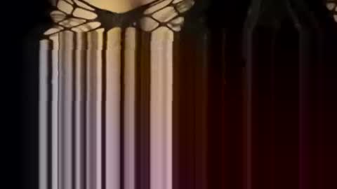 Forever Erotica online show from 01/12/26, 04:23