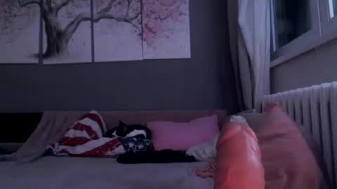     .... ............ Onlyfans   online show from 01/29/25, 11:56