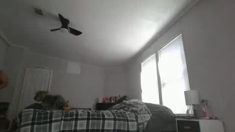 sexyfl440703 online show from 10/31/25, 03:46