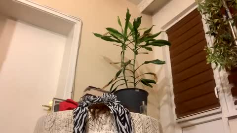 Snapshot of sexysexydream chatting on 01/22/25, 08:17 Anya online show from 01/22/25, 08:17