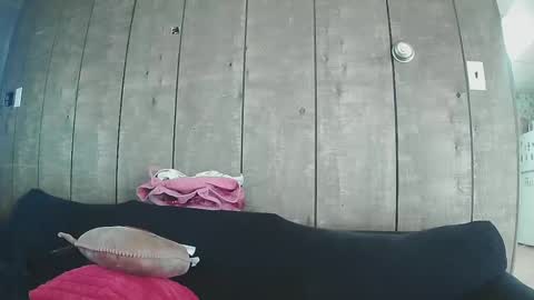 sexystripper69 online show from 02/19/25, 10:09