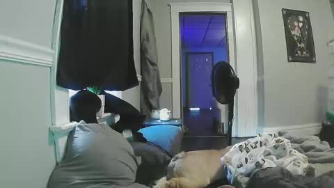 sexystripper69 online show from 05/11/26, 09:12