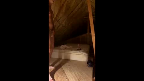 Smooth bi guy online show from 03/07/26, 08:11