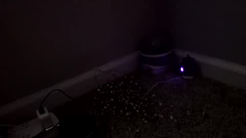 Sugar Brown online show from 03/04/26, 03:18