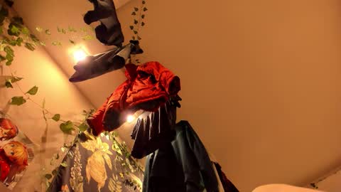 shadow_raffi online show from 11/07/25, 03:50