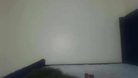 Shadow online show from 11/29/25, 01:25