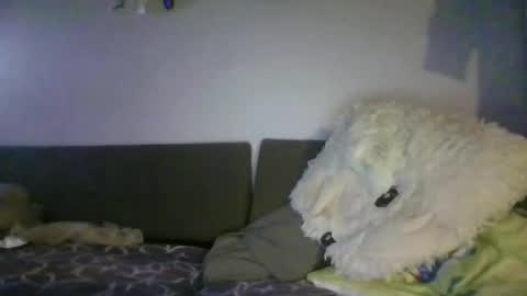 Snapshot of shafte1981 chatting on 06/02/26, 10:01 shafte1981 online show from 06/02/26, 10:01