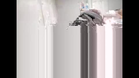 Snapshot of shagnasty95 chatting on 04/09/26, 01:27 shagnasty95 online show from 04/09/26, 01:27