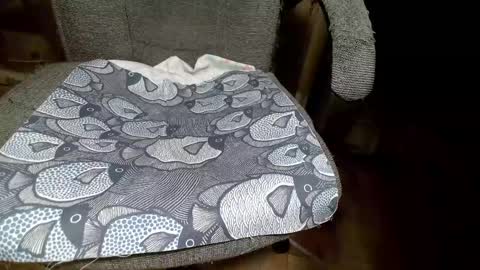 shamain1922 online show from 01/28/25, 09:19