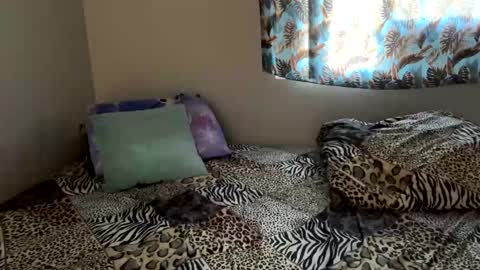 Shaman Woman online show from 12/06/24, 05:11