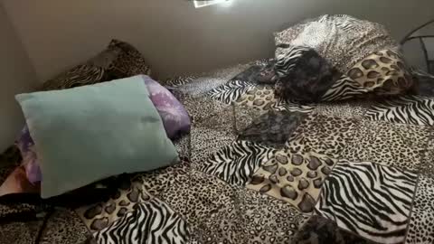 Shaman Woman online show from 12/06/24, 11:57