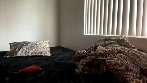 Shaman Woman online show from 12/25/24, 08:07