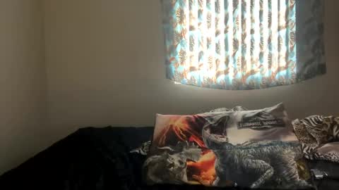 Shaman Woman online show from 12/27/24, 07:24