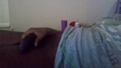 Shameak online show from 10/28/25, 02:48