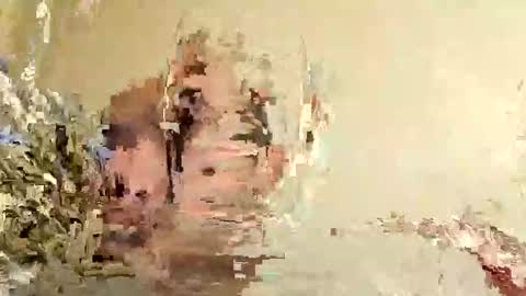 Shamilka online show from 11/18/25, 10:09