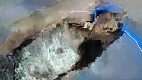 bini aiah online show from 03/08/25, 04:23