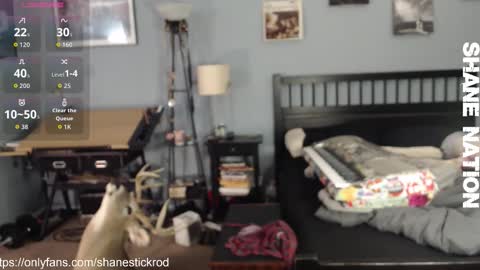 Snapshot of shanestickrod chatting on 11/18/25, 04:50 shanestickrod online show from 11/18/25, 04:50