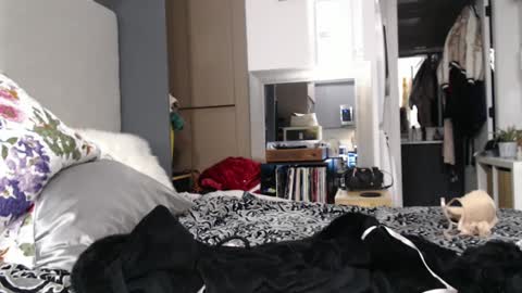 Snapshot of shannon07 chatting on 01/13/25, 02:50 Shannon07 online show from 01/13/25, 02:50