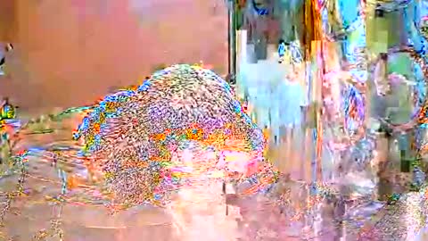ShanyaRise online show from 05/14/26, 11:39