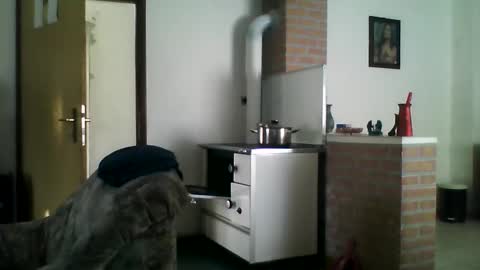 Snapshot of shaomy711 chatting on 12/22/24, 09:44 excelo21 online show from 12/22/24, 09:44