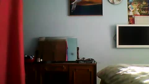 Snapshot of shaomy711 chatting on 12/29/24, 10:45 excelo21 online show from 12/29/24, 10:45