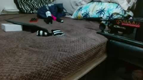 sharlot03 online show from 02/12/25, 10:56