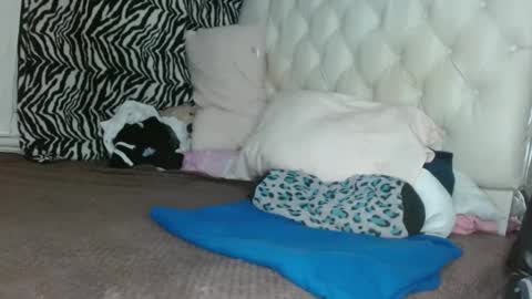 sharlot03 online show from 03/11/25, 12:28