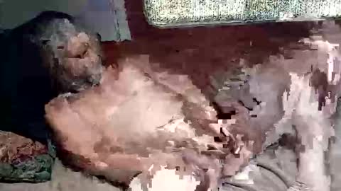 Snapshot of sharoc666 chatting on 03/04/26, 02:45 Shamroc online show from 03/04/26, 02:45