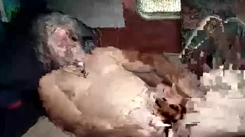 Snapshot of sharoc666 chatting on 03/05/26, 02:02 Shamroc online show from 03/05/26, 02:02